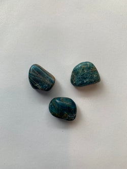 Tumbled Blue Apatite